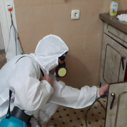 Дезинфекция от муравьев в квартире в Нижнекамске
