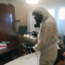 Дезинфекция от клопов в Нижнекамске